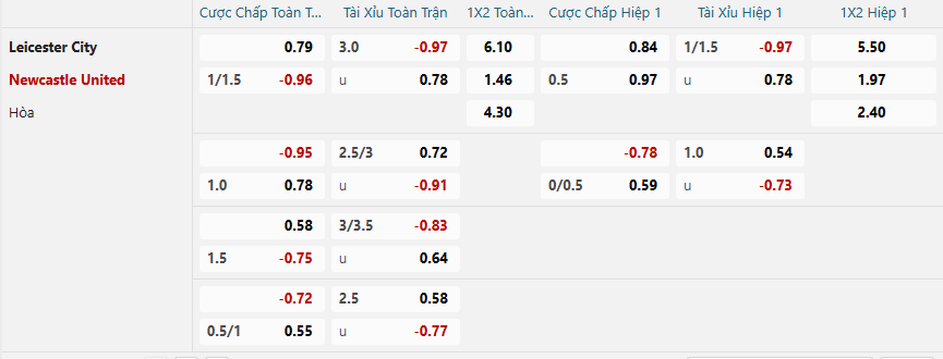 nhan-dinh-soi-keo-leicester-city-vs-newcastle-united-luc-02h00-ngay-8-4-2025-2